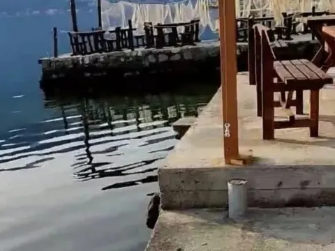 Prodaja, garsonjera, 25m², Prčanj, Kotor - image 10