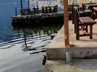 Sale, studio apartment, 25m², Prčanj, Kotor - image 10