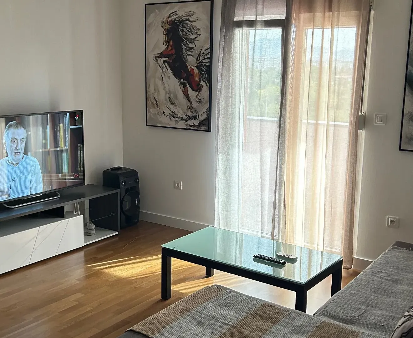 Rent, one bedroom apartment, 46m², Zabjelo, Podgorica