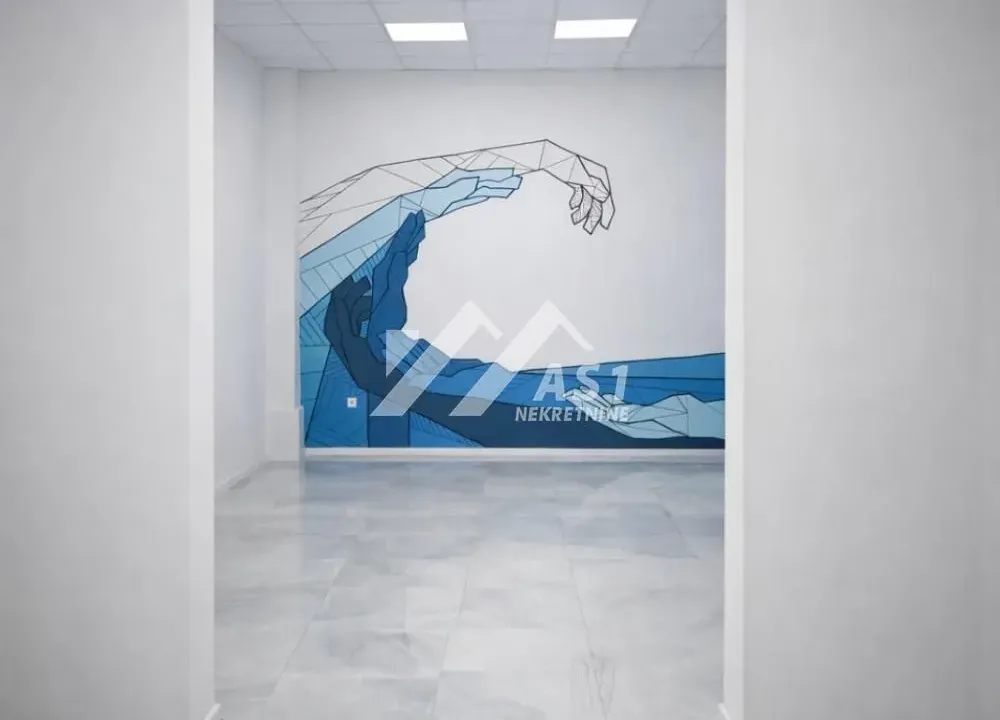 Izdavanje, poslovni prostor, 275m², Novi Sad Sve Podlokacije, Novi Sad