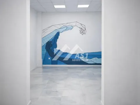 Poslovni prostor in Novi Sad Sve Podlokacije