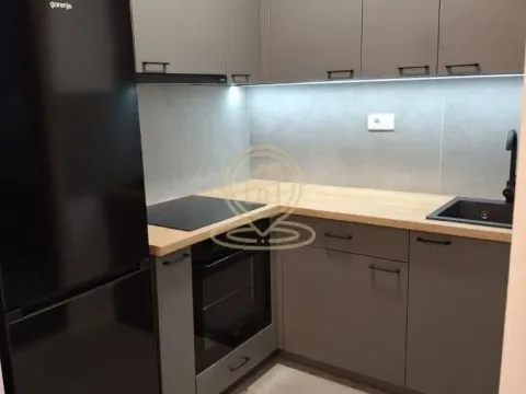 Rent, two bedroom apartment, 45m², Pasino Brdo, Voždovac Sve Podlokacije - image 2