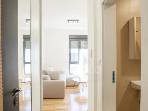 Rent, studio apartment, 21m², Tološi, Podgorica - image 4