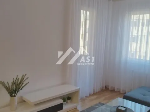 Izdavanje, jednosoban stan, 42m², Avijatičarsko naselje, Novi Sad Sve Podlokacije - image 3