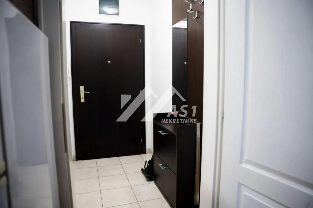 Izdavanje, stan, 24m², Nova Detelinara, Novi Sad Sve Podlokacije
