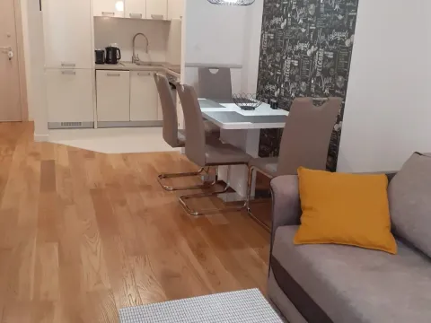 Rent, one bedroom apartment, 40m², Central Point, Podgorica - image 3
