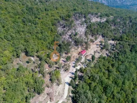 Prodaja, plac, 14000m², Podgorica, Crna Gora - image 5