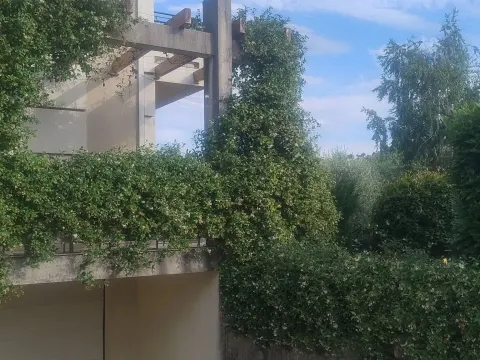 Rent, house, 262m², Zabjelo, Podgorica - image 6