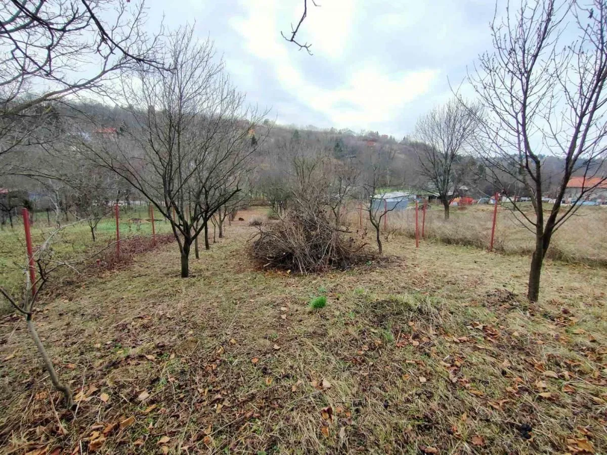 Prodaja, plac, 1000m², Sremska Kamenica, Petrovaradin