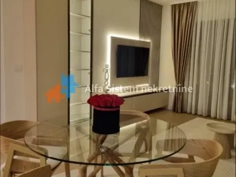 Izdavanje, dvosoban stan, 57m², Savski Venac, Beograd - image 2