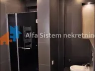 Izdavanje, stan, 231m², Vračar Hram, Vračar Sve Podlokacije - image 14