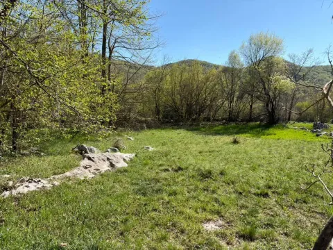 Prodaja, plac, 8979m², Kuči, Podgorica - image 3