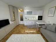 Izdavanje, stan, 26m², Voždovac Sve Podlokacije, Beograd - image 2