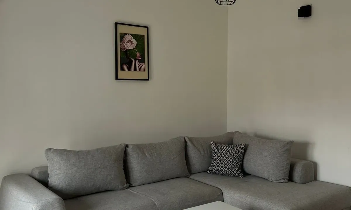 Rent, one bedroom apartment, 44m², Zagorič, Podgorica
