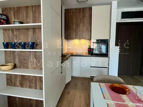Izdavanje, dvosoban stan, 45m², Zemun Cara Dušana, Zemun Sve Podlokacije - image 3