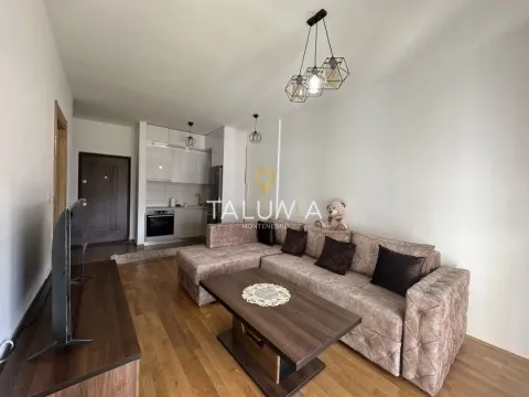 Izdavanje, jednosoban stan, 42m², Stari Aerodrom, Podgorica - image 4