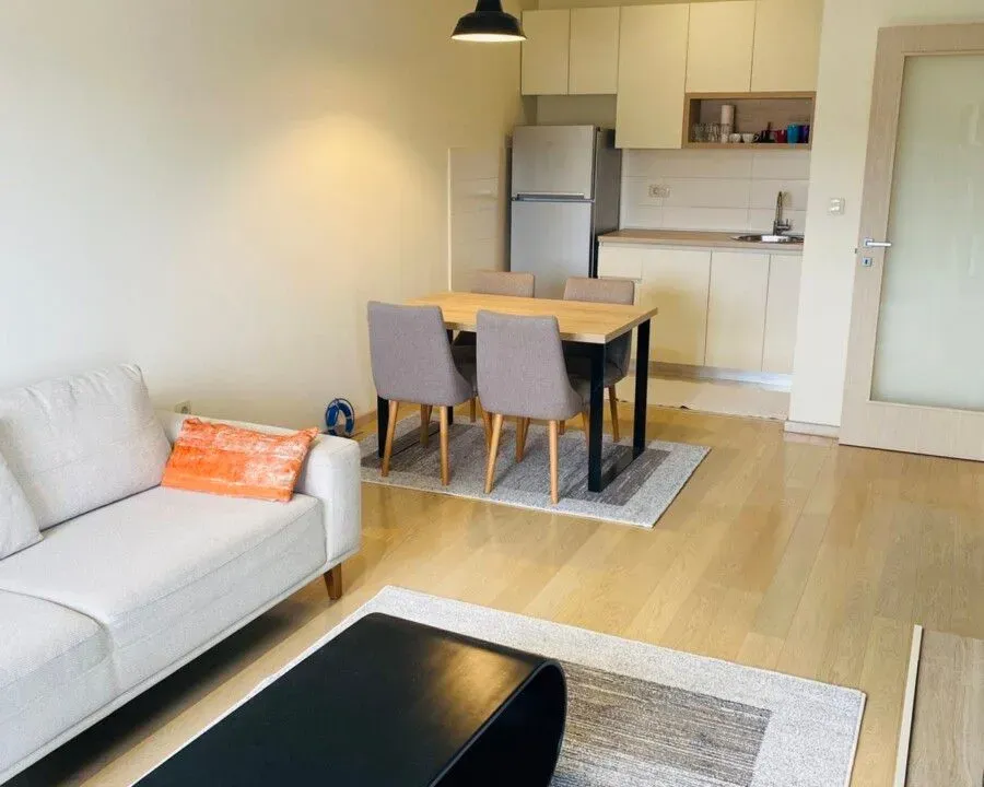 Rent, one bedroom apartment, 47m², City Kvart, Podgorica