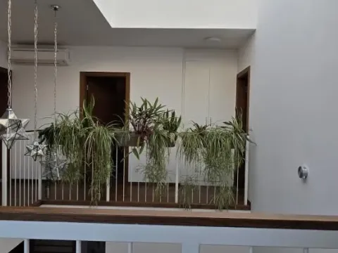 Prodaja, kuća, 337m², Sremska Kamenica, Petrovaradin - image 41