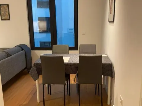 Izdavanje, dvosoban stan, 40m², Stari Grad, Beograd - image 9