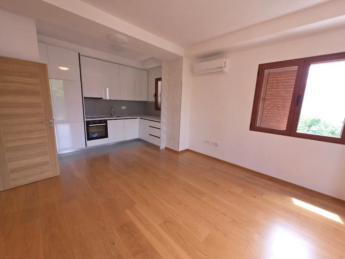 Rent, one bedroom apartment, 42m², Pod Goricom, Podgorica