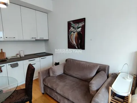 Izdavanje, jednosoban stan, 40m², Stari Grad, Beograd - image 4