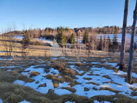 Prodaja, plac, 570m², Tara, Srbija - image 2