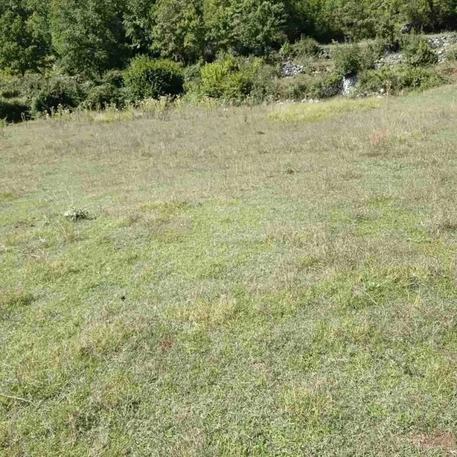 Prodaja, plac, 240000m², Štitari, Cetinje