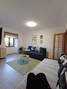 Namještena dnevna soba sa garniturom i stočićem. - image 13