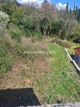 Pogled na zeleno dvorište i šumu koja okružuje nekretninu. - image 5