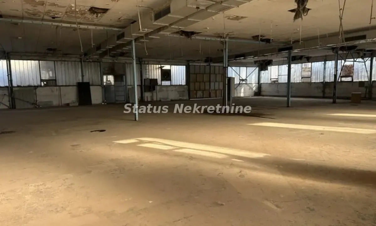 Izdavanje, poslovni prostor, 300m², Novi Sad, Srbija
