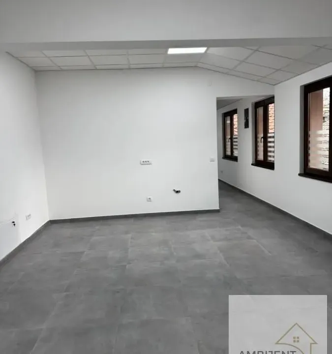 Izdavanje, poslovni prostor, 150m², Centar, Pančevo