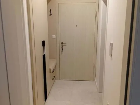 Prodaja, jednosoban stan, 45m², Zabjelo, Podgorica - image 8