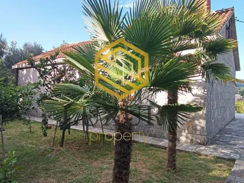 Rent, house, 100m², Mareza, Podgorica - image 1