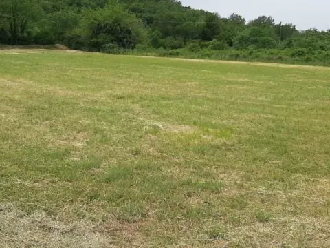 Prodaja, plac, 4300m², Bigova, Kotor - image 6