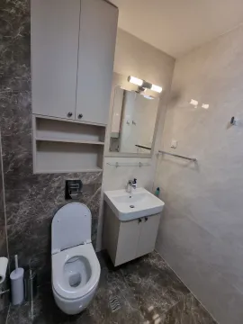 Modern bathroom with a sink, mirror, and toilet. - image 7