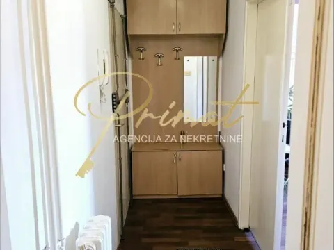 Izdavanje, jednosoban stan, 29m², Zemun Novi Grad, Zemun Sve Podlokacije - image 8