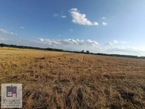 Prodaja, plac, 26300m², Trstenica, Obrenovac - image 2