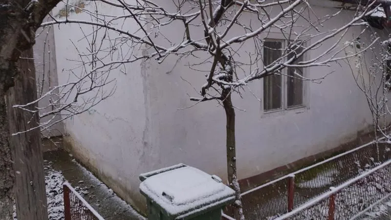 Sale, house, 83m², Telep, Novi Sad Sve Podlokacije