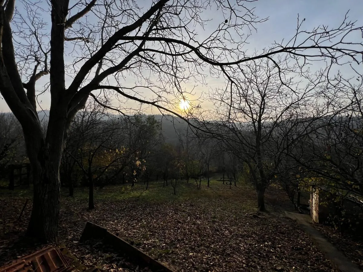 Sale, house, 139m², Petrovaradin, Novi Sad