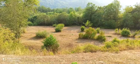 Prostrani travnati plac okružen gustim drvećem i prirodnim zelenilom. - image 2