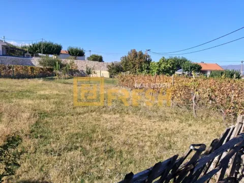 Prostrano dvorište sa vinogradom i zelenilom. - image 3