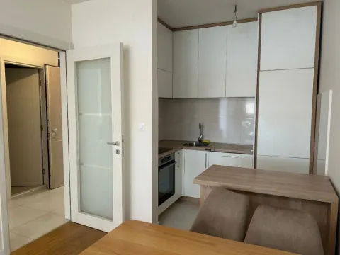 Izdavanje, jednosoban stan, 47m², Central Point, Podgorica - image 3