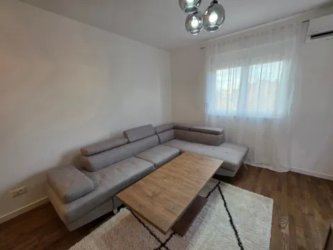 Izdavanje, jednosoban stan, 46m², Stari Aerodrom, Podgorica - image 9