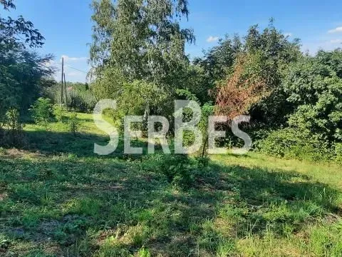 Prodaja, plac, 2005m², Beočić, Rekovac - image 8