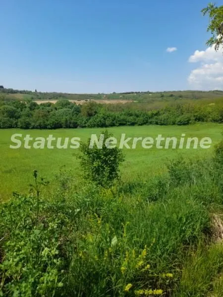 Prodaja, plac, 7500m², Irig, Srbija
