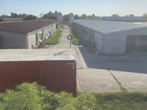 Prodaja, poslovni prostor, 2888m², Urovci, Obrenovac - image 3