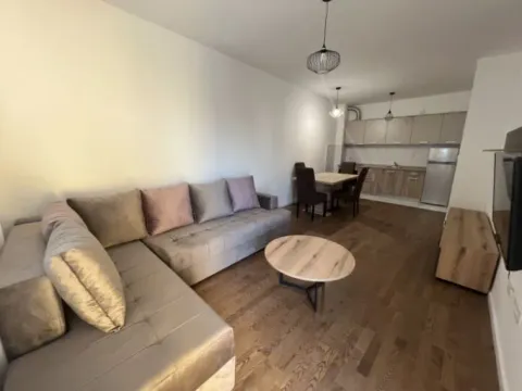 Izdavanje, jednosoban stan, 45m², Ljubović, Podgorica - image 6