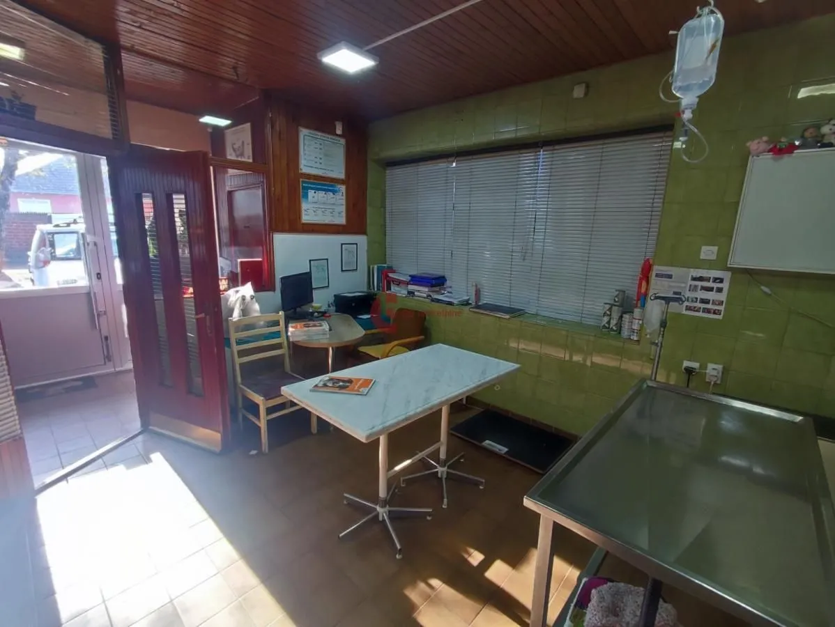 Sale, office space, 87m², Dudova Šuma, Subotica