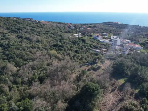 Prodaja, plac, 2450m², Krimovica, Kotor - image 5