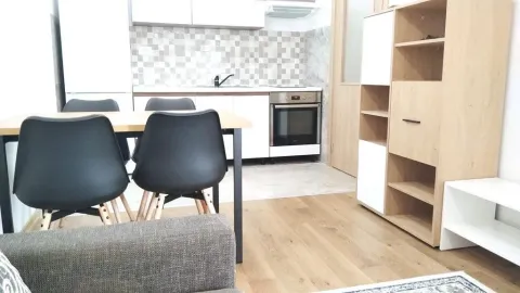 Izdavanje, jednosoban stan, 55m², Ljubović, Podgorica - image 11